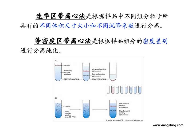 離心機(jī)知識圖解大全